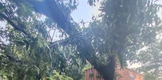 Hindari Bus, Truck Kontiner Alami Laka Tunggal di Belakang Kantor Walikota Cilegon