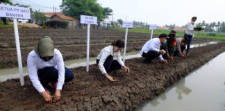 Banten Tuan Rumah Gerakan Tanam PT HKTI, Wagub Dorong Anak Muda Geluti Pertanian