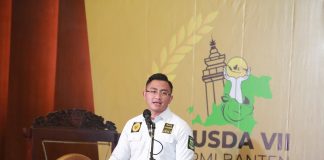 Wagub Andika Ajak HIPMI Banten Bantu Wujudkan UMKM Go Digital