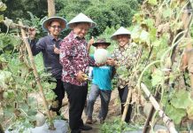 Bertemu Wakil Walikota Cilegon Narji Cagur Bahas Konsep Pertanian Modern