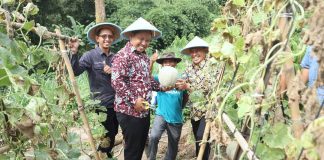 Bertemu Wakil Walikota Cilegon Narji Cagur Bahas Konsep Pertanian Modern