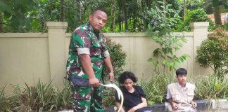 Babinsa Koramil Cikeusal Rampas Sajam dan Gagalkan Tawuran Antar Pelajar