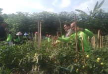 PT Indorama Berhasil Bentuk Dua KWT di Ciwandan
