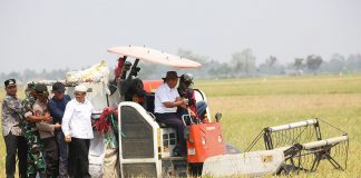 Awal Tahun, Tiga Komoditas Utama di Banten Masuk Masa Panen