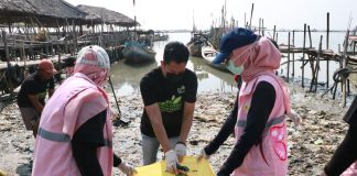 Peringati Hari Lingkungan Hidup Sedunia, Kolaborasi Pegawai PLN Banten dan Relawan Bersih Sampah di Pantai Terang