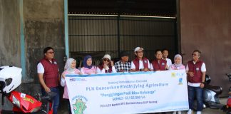 PLN Dorong Penggunaan Listrik pada Sektor Pertanian di Serang