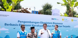 Ubah Lahan Kritis Jadi Hijau dan Produktif, PLN Kembangkan Ekosistem Biomassa Berbasis Pertanian Terpadu