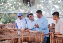 Bertemu Komunitas Peternak Kambing dan Sapi, Andra Soni Bicara Ketahanan Pangan di Banten