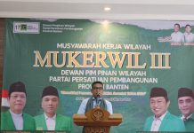 Di Hadapan PPP, Andra Soni Yakin Menang Pilgub Banten