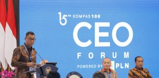 PLN Siap Dukung Pemerintah dalam Menciptakan Ekosistem Investasi