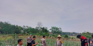 Kapolres Tanam Bibit Melon dalam Rangka Dukung Ketahanan Pangan