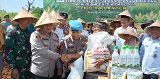 Ikuti Meeting Virtual Bersama Kapolri, Kapolres Serang Tanam Benih Jagung di Cikande