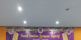DP3AKKB Dorong Kaum Perempuan di Banten jadi Sosok Inspiratif