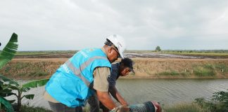 Progam EA PLN Tunjukkan Kinerja Mentereng Sepanjang Tahun 2024