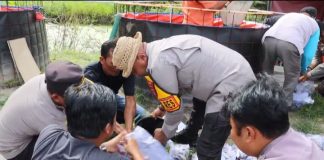 Polsek Ciruas Panen Perdana Budidaya Lele di Pekarangan Mapolsek