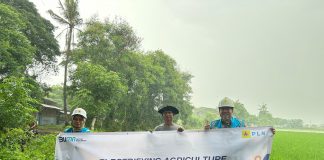 Dukung Ketahanan Pangan, PLN UID Banten Hadirkan Program Electrifying Agriculture