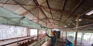 Melalui Program Electrifying Agriculture, PLN UID Banten Komitmen Dukung Sektor Pertanian dan Peternakan