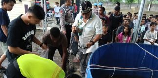 Program Ketapang Polres Serang, Kali Ini Panen Lele di Mapolres