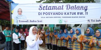 Ketua Posyandu Banten Monitor Enam SPM Posyandu di Serpong Utara