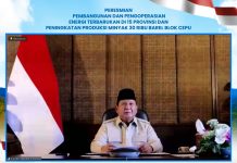 Pemerintah Resmikan Operasional 47 PTLS di 11 Provinsi di Indonesia