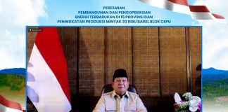 Pemerintah Resmikan Operasional 47 PTLS di 11 Provinsi di Indonesia
