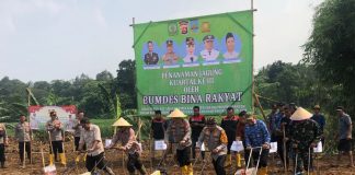 Bersama Polda, Polres Serang Terus Gencarkan Tanam Jagung