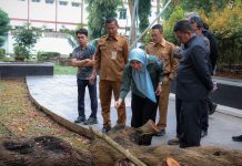 Gubernur Banten Andra Soni Diskusikan Pemeriksaan Pohon dan Konservasi Pohon Bersama Tim IPB
