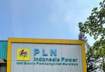 Komut PLN IP Dukung Energi Hijau di Indonesia