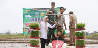Bupati Serang Lakukan Percepatan Tanam Padi Gunakan Transplanter di Kramatwatu