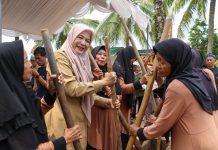 Forum Komunikasi Gapoktan Kecamatan Padarincang Gelar Festival Sangga Nagara