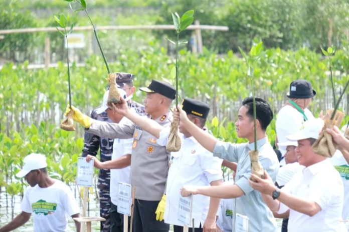 WhatsApp Image 2025-10-27 at 14.09.06