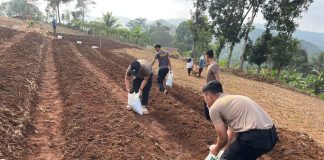 Polda Jabar Bakal Laksanakan Penanaman Jagung dan Ubi di Lahan Seluas 752 Hektar