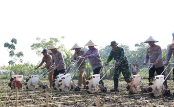 Dukung Ketahanan Pangan, Polda Banten Laksanakan Penanaman Jagung Kuartal II