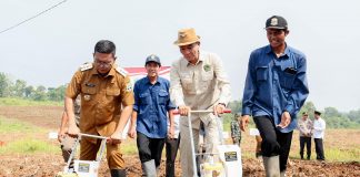 Gerakan Tanam Jagung di Banten Didorong untuk Bantu Ketahanan Pangan