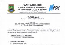 Pengumuman Seleksi Terbuka Calon Anggota Komisaris BUMD PT Pelabuhan Cilegon Mandiri