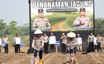 Ditlantas Polda Banten Tanam Jagung di Kopo