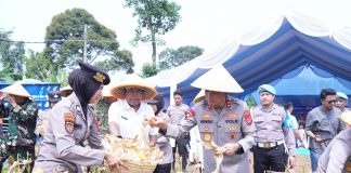 Polda Banten Panen 29,5 Ton Jagung di Pandeglang untuk Ketahanan Pangan
