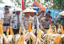 Polda Jabar Panen Jagung Kuartal II di Indramayu