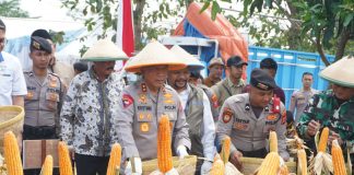 Polda Jabar Panen Jagung Kuartal II di Indramayu