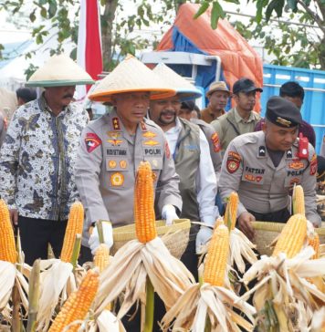 Polda Jabar Panen Jagung Kuartal II di Indramayu