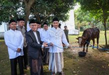 Wagub Dimyati Serahkan Hewan Kurban ke DKM Masjid Raya Al Bantani