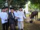 Wagub Dimyati Serahkan Hewan Kurban ke DKM Masjid Raya Al Bantani