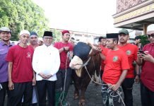 Warga Kreo Kota Tangerang Sambut Antusias Hewan Kurban Bantuan Presiden