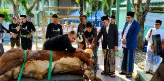 UP3 Cikokol Dukung Keandalan Listrik saat Iduladha di Kota Tangerang Berjalan Khidmat