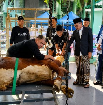 UP3 Cikokol Dukung Keandalan Listrik saat Iduladha di Kota Tangerang Berjalan Khidmat