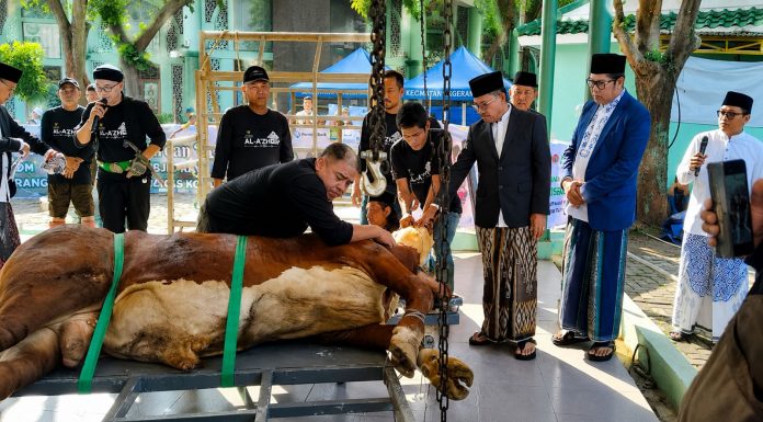 UP3 Cikokol Dukung Keandalan Listrik saat Iduladha di Kota Tangerang Berjalan Khidmat
