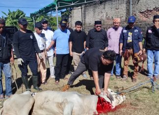 PWI dan SMSI Banten Potong Hewan Kurban Bersama