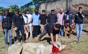 PWI dan SMSI Banten Potong Hewan Kurban Bersama