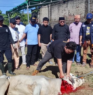 PWI dan SMSI Banten Potong Hewan Kurban Bersama