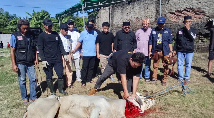 PWI dan SMSI Banten Potong Hewan Kurban Bersama